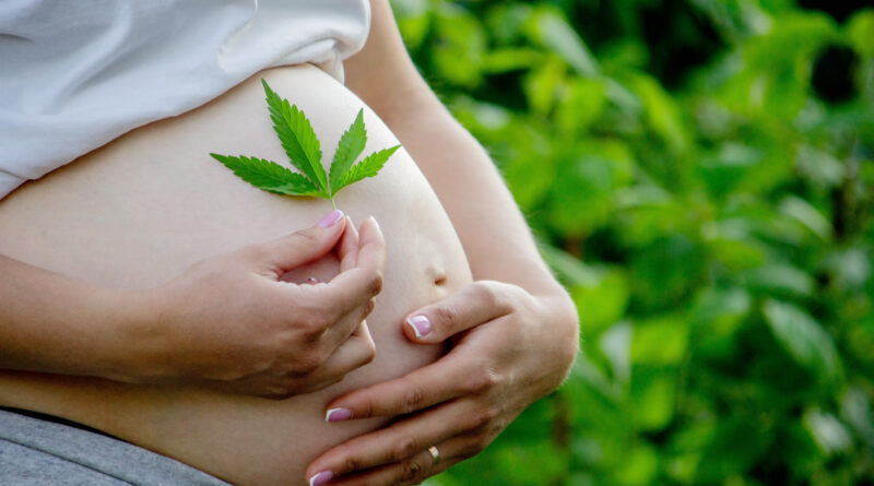 cbd et femme enceinte